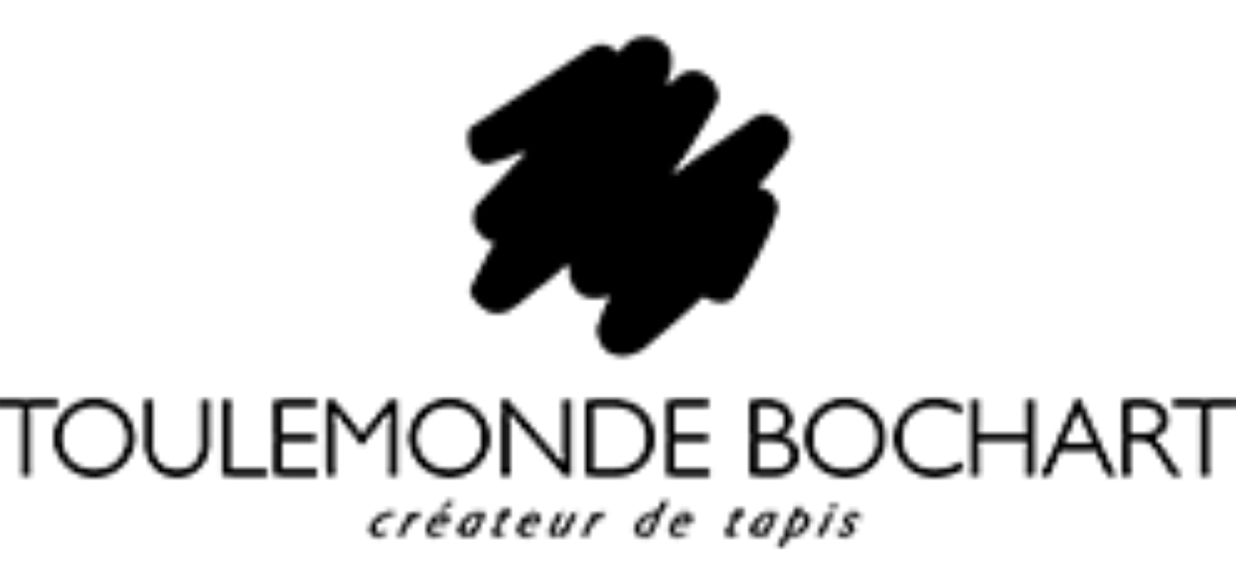 Logo Toulemonde Bochart